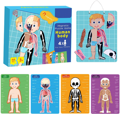 48pcs educatief magnetisch menselijk lichaam Puzzle Puzzle speelgoed voor 3 jaar oud peuter